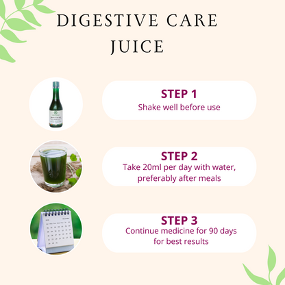 Vedchakra Digestive Care Juice - Works from Day 1 - 500ml